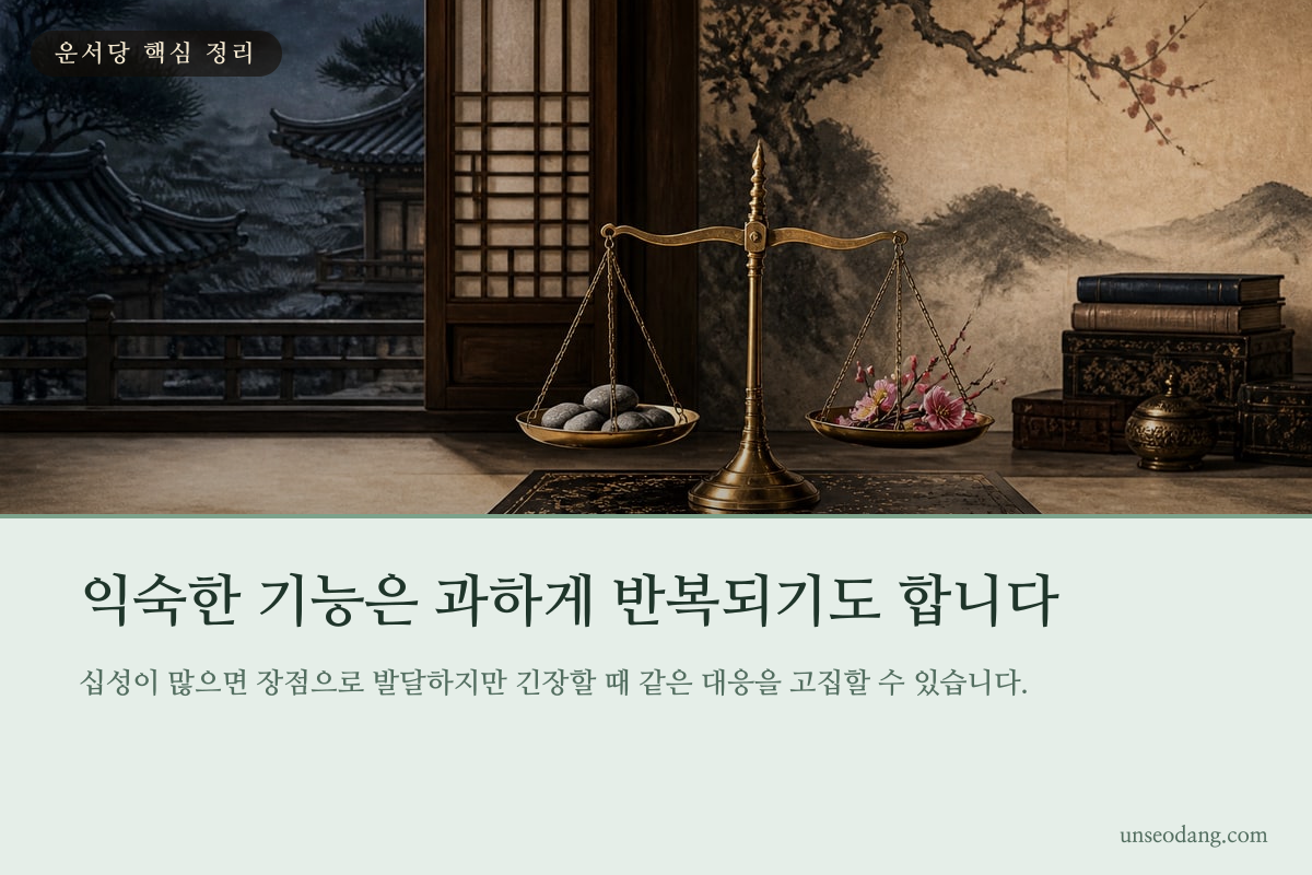 다섯 십성의 강한 기능과 과잉 행동을 함께 보여주는 균형 이미지