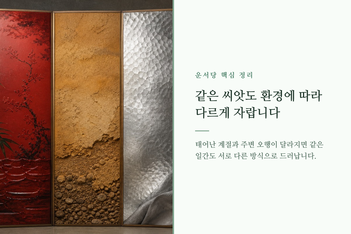 서로 다른 계절과 환경에서 자라는 두 나무를 비교한 이미지