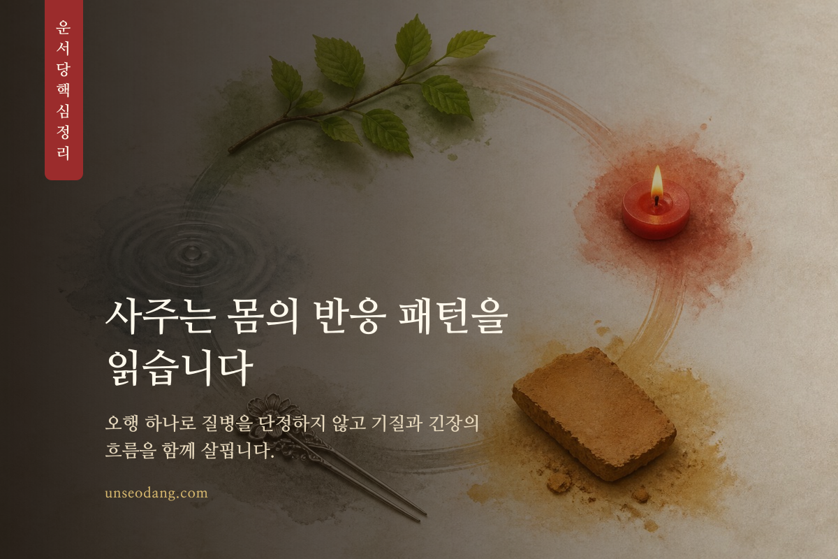 오행의 재료가 조화를 이루며 스트레스 반응의 차이를 보여 주는 핵심 정리 카드