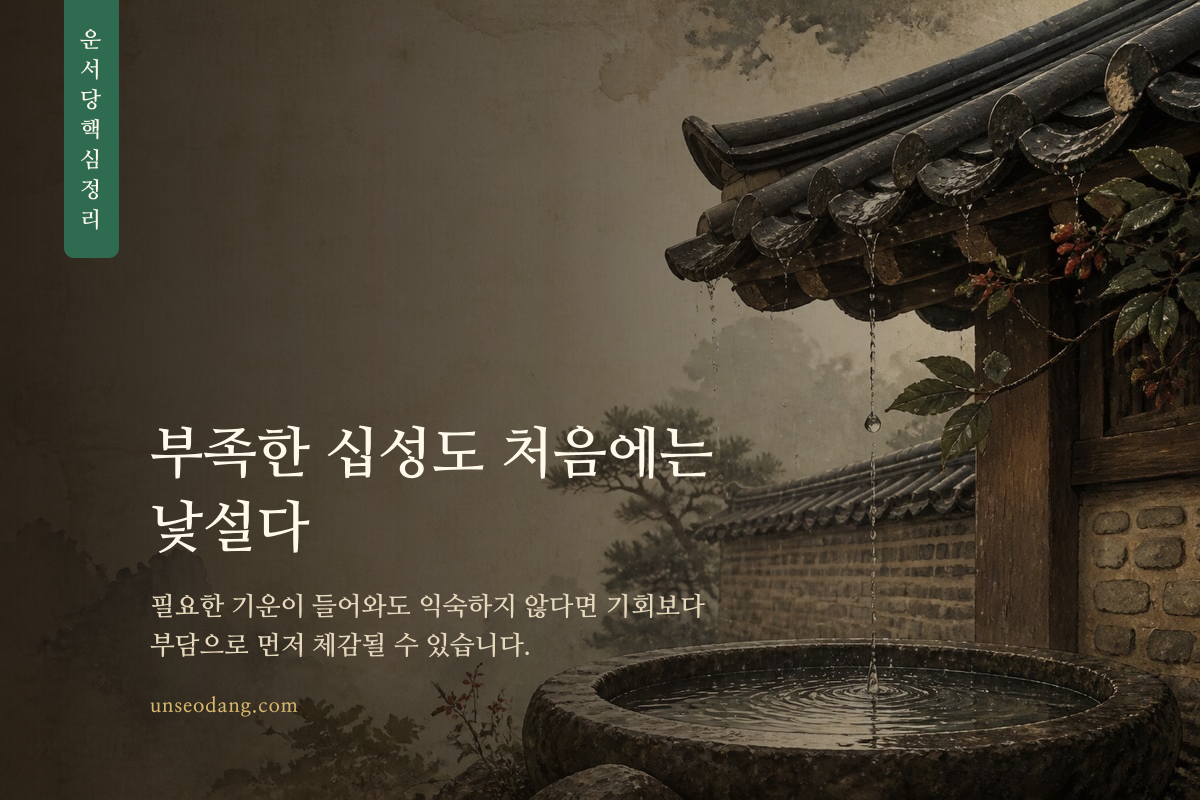 새로운 십성의 흐름이 삶으로 들어오는 갈림길 이미지