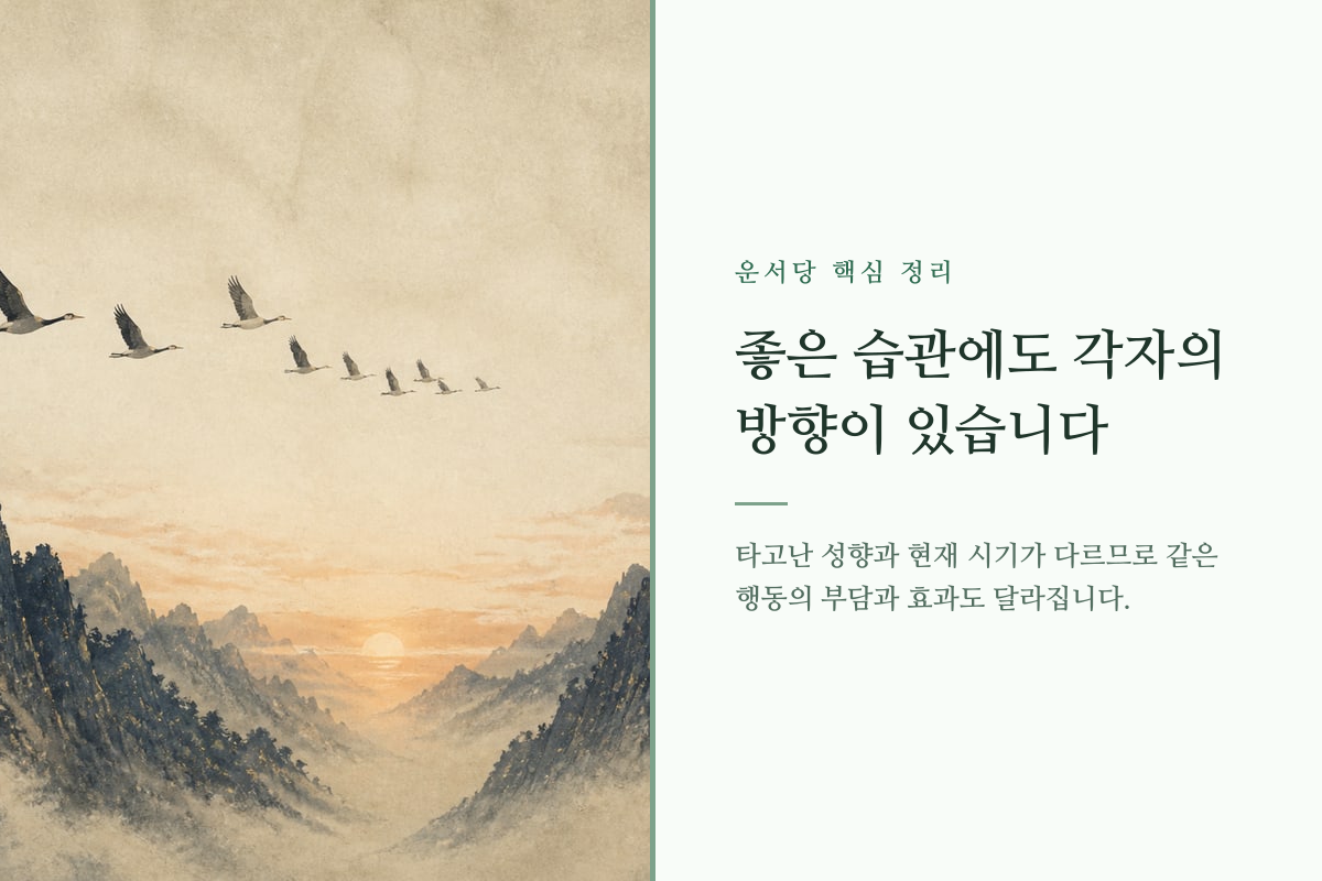 서로 다른 방향으로 이어지는 길과 선택의 표지를 담은 이미지