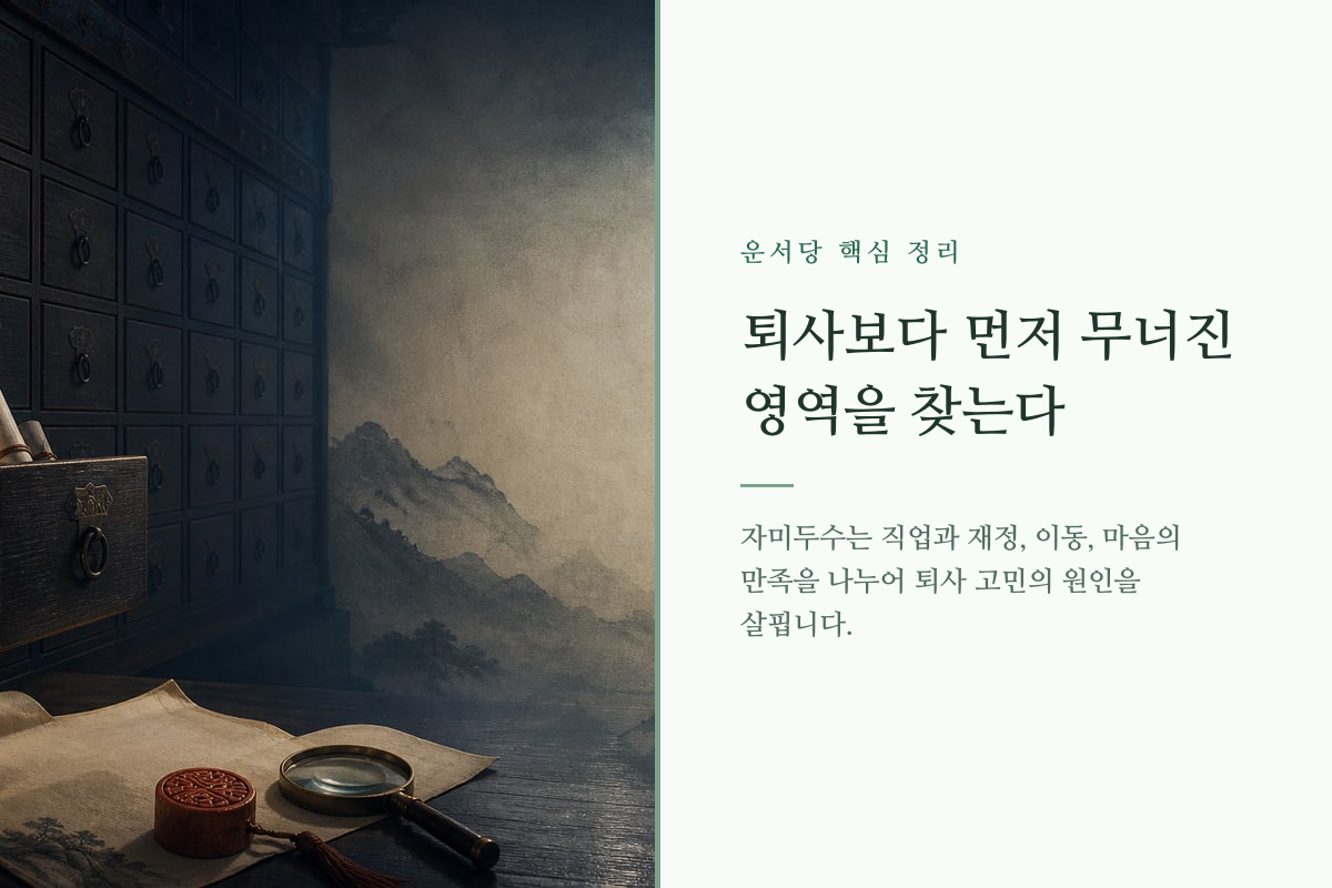자미두수 명반 위에 직업과 재정, 이동, 마음의 영역이 구분된 이미지